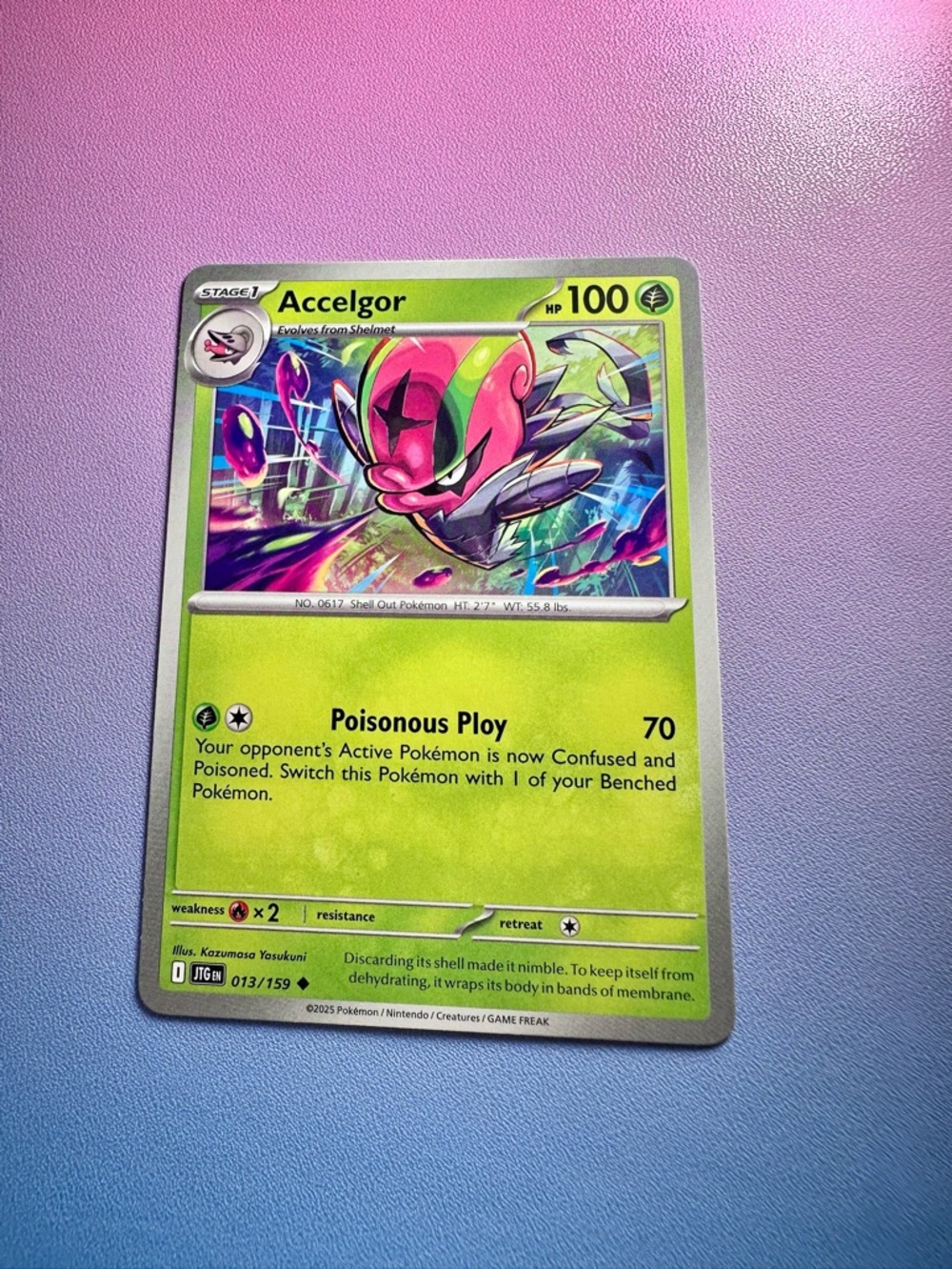 accelgor (013/159) - uncommon — pokémon: journey together